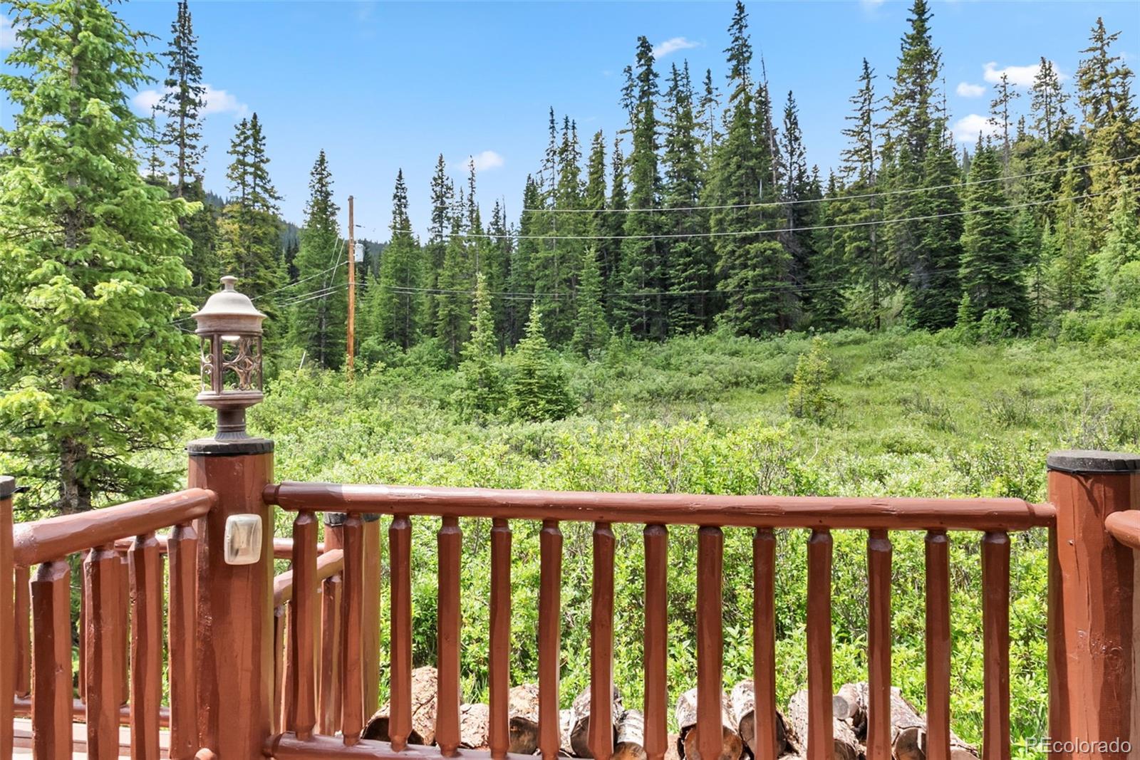 MLS Image #40 for 274  cr 672 ,breckenridge, Colorado