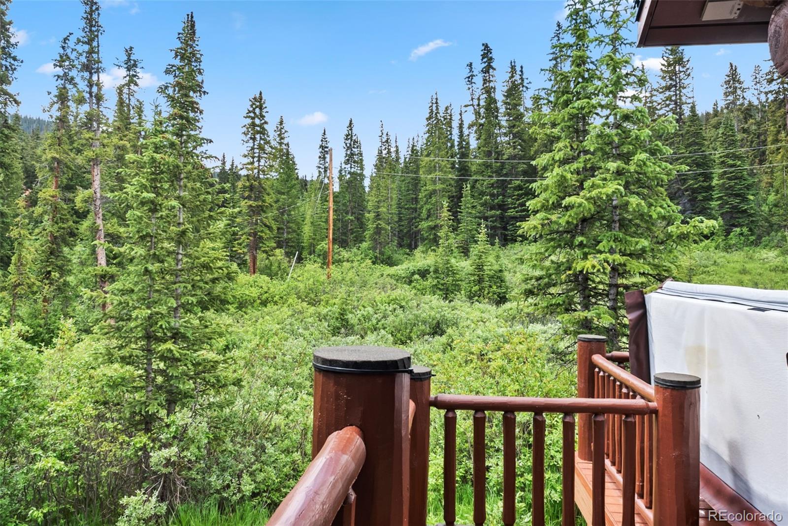 MLS Image #41 for 274  cr 672 ,breckenridge, Colorado