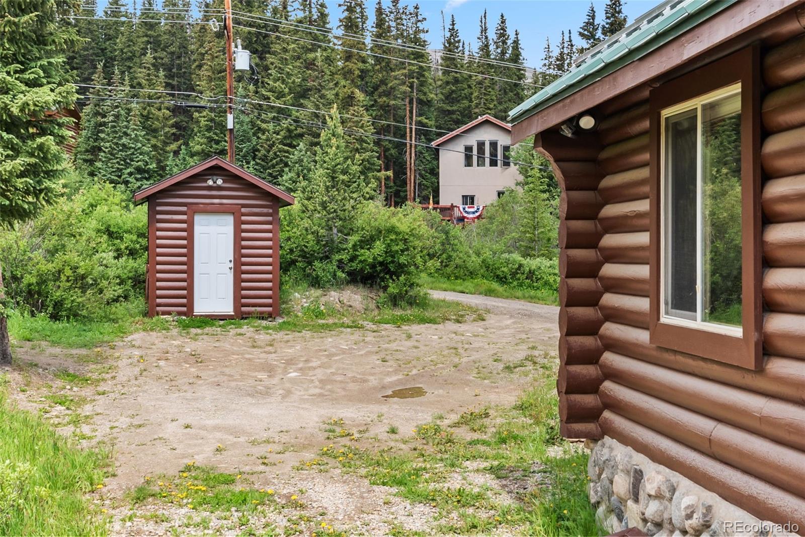 MLS Image #42 for 274  cr 672 ,breckenridge, Colorado