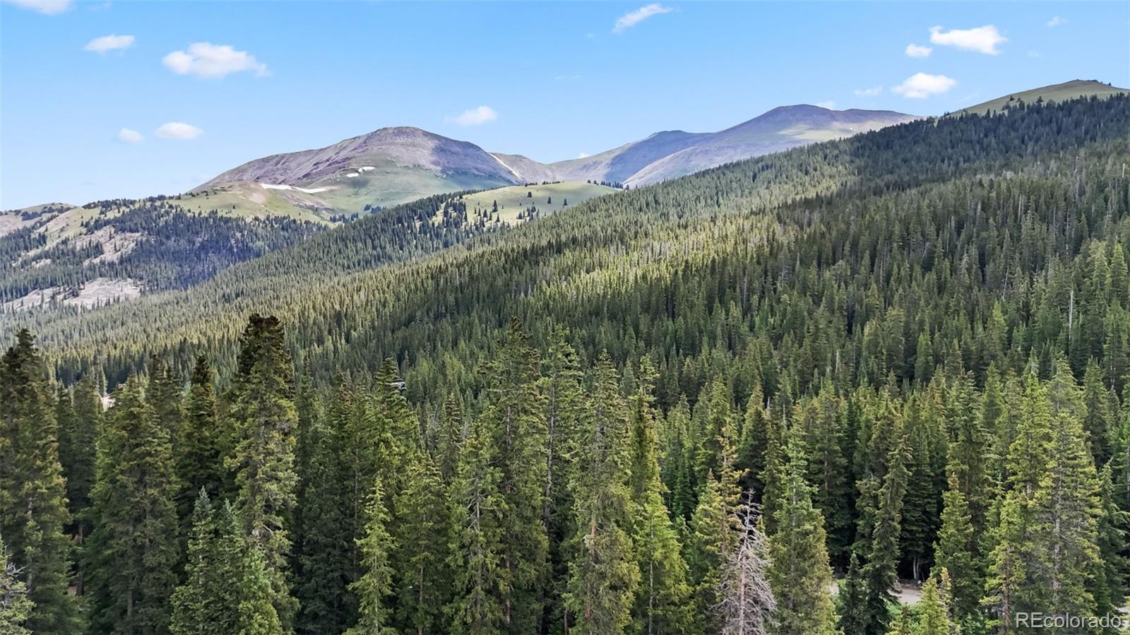 MLS Image #46 for 274  cr 672 ,breckenridge, Colorado