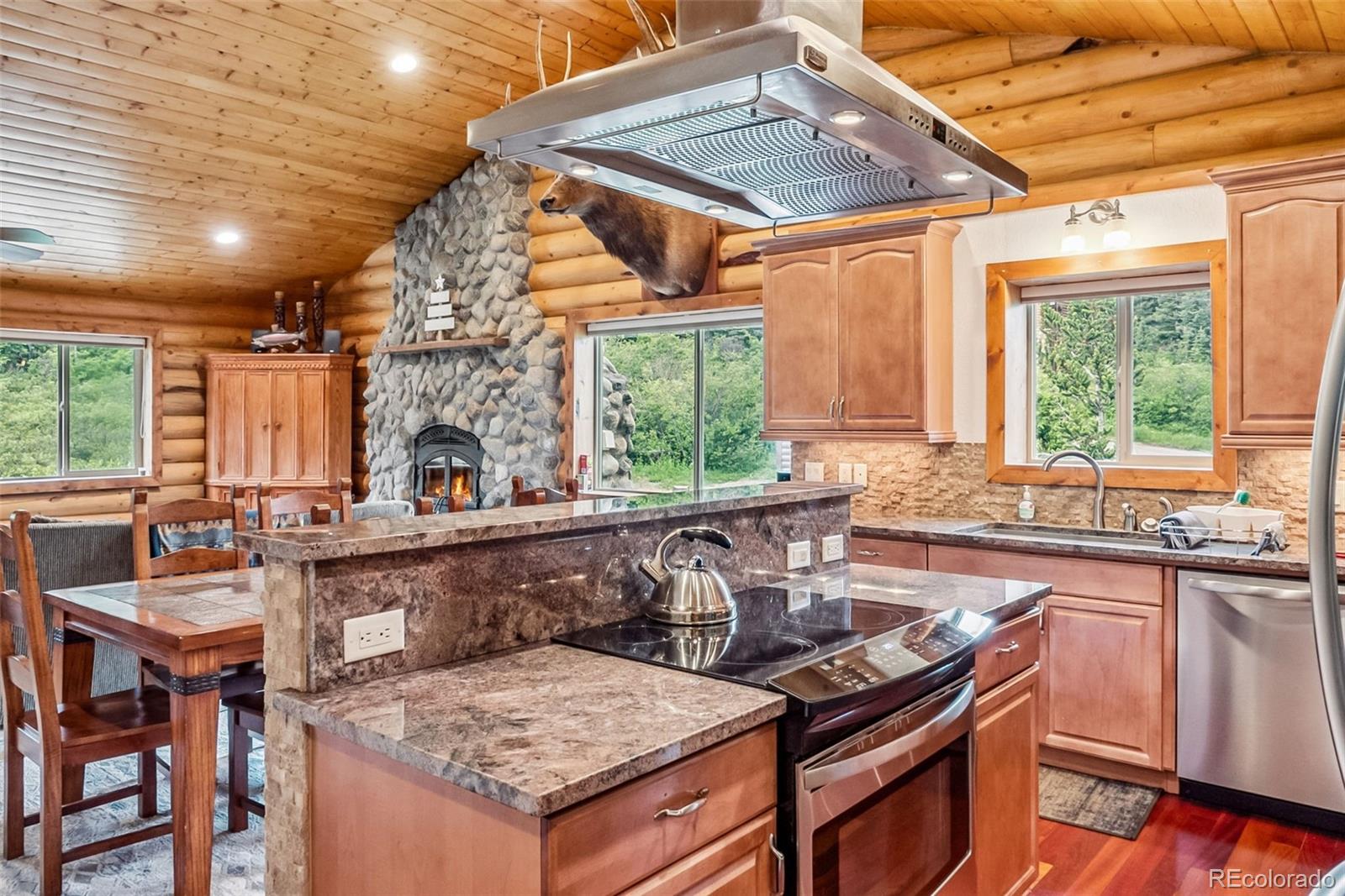 MLS Image #9 for 274  cr 672 ,breckenridge, Colorado