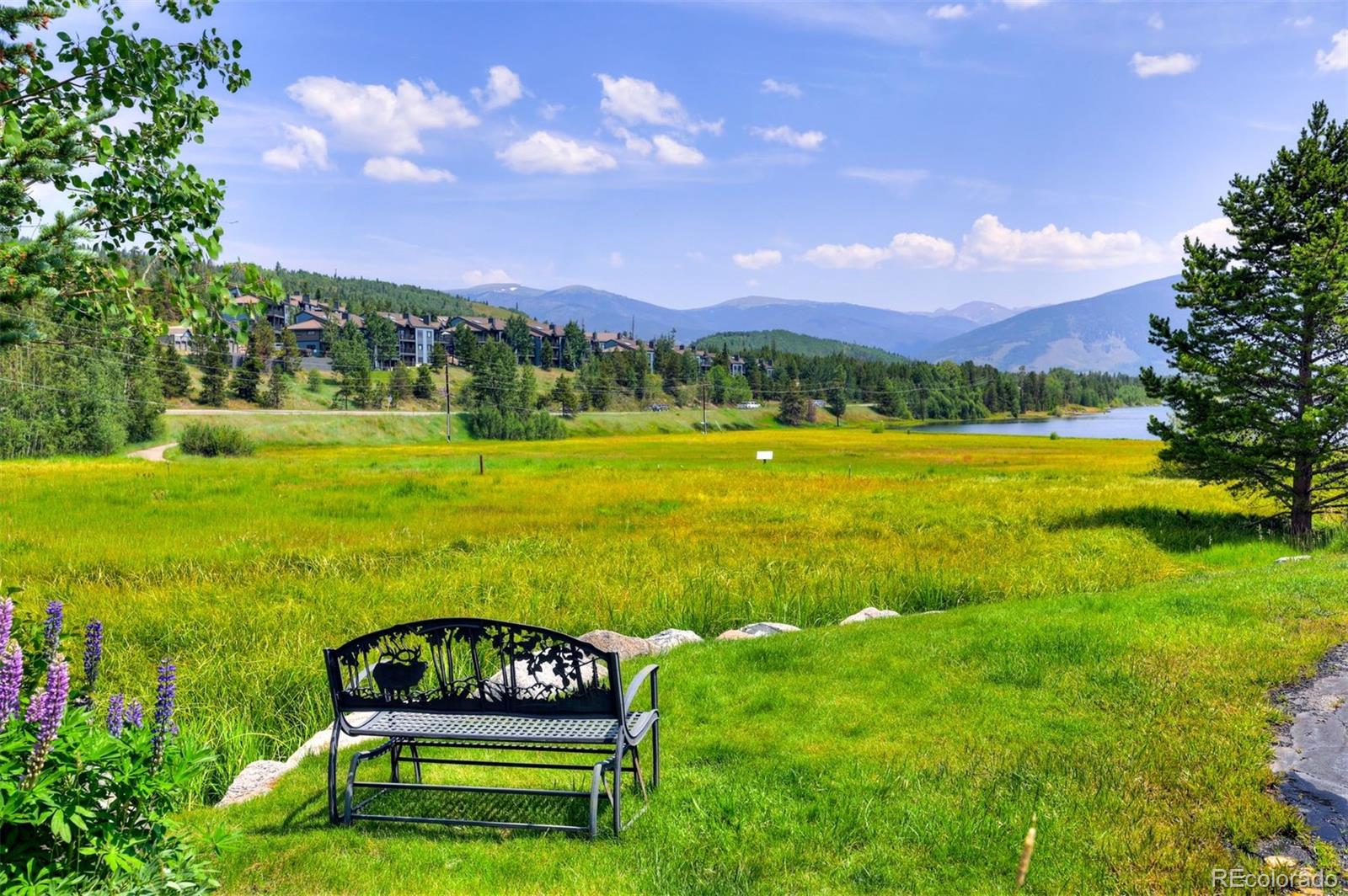 MLS Image #32 for 1501  point drive,frisco, Colorado