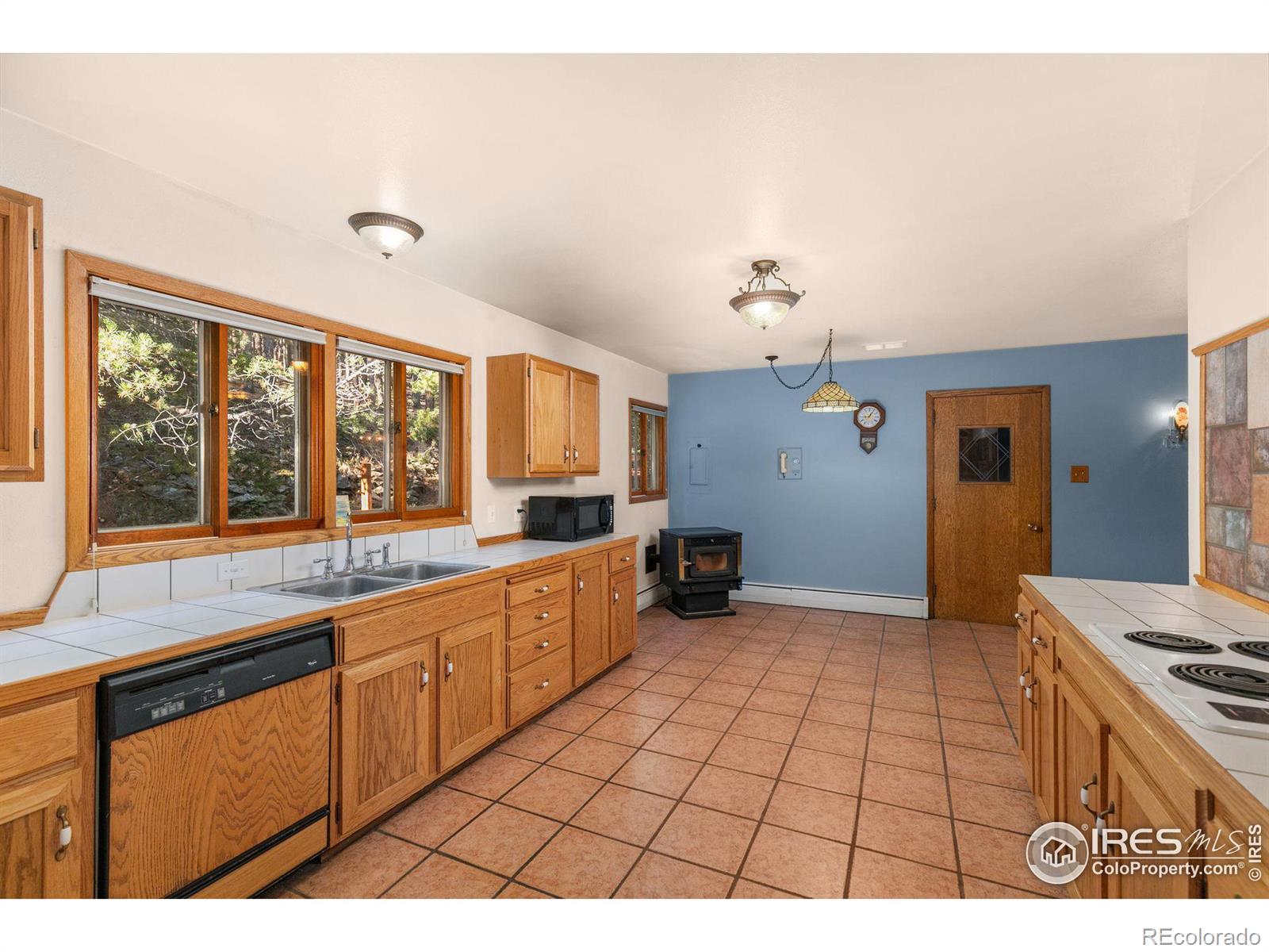 MLS Image #9 for 11957  brook road,golden, Colorado