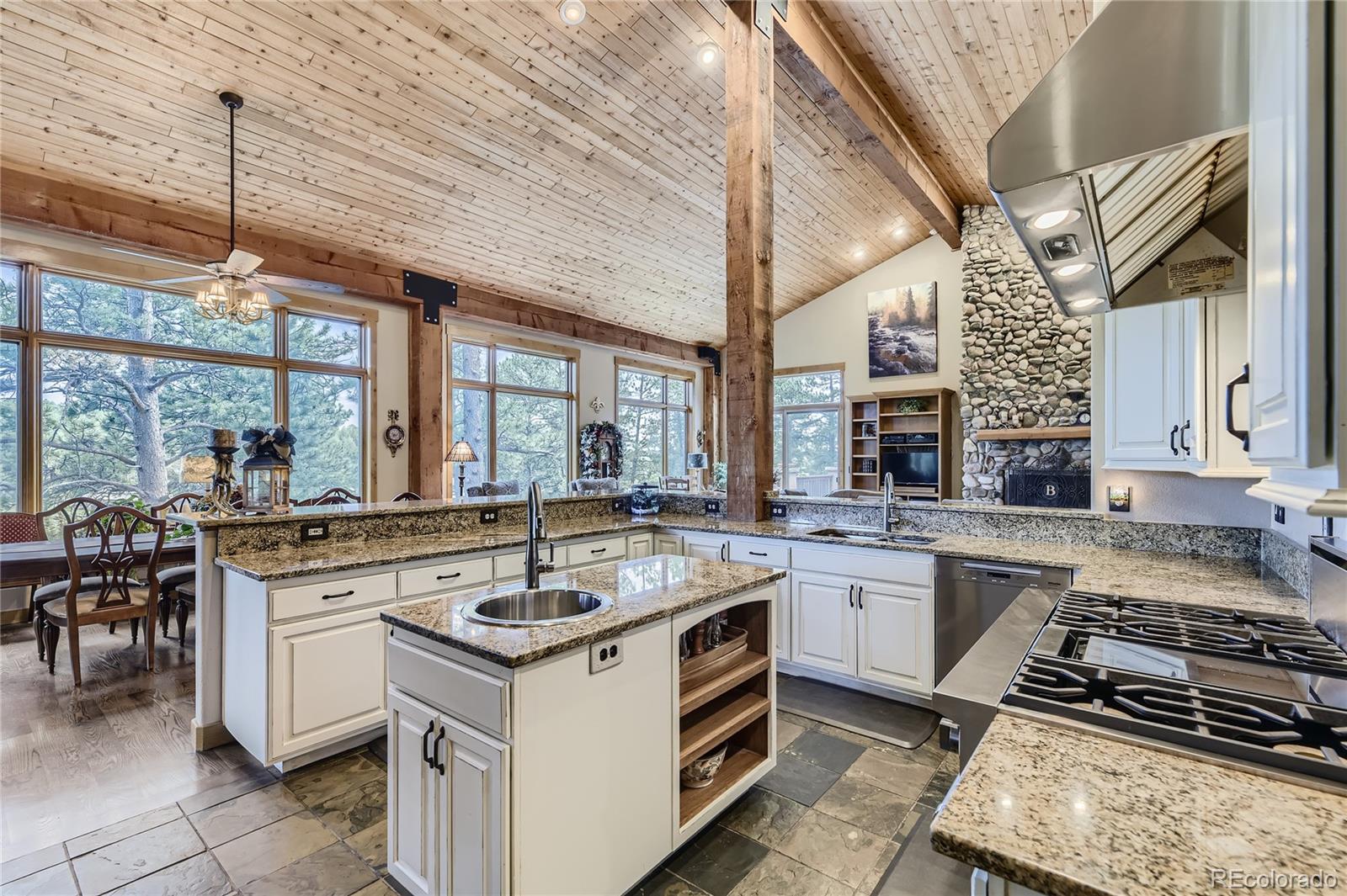 MLS Image #12 for 9340  comanche pines drive,franktown, Colorado