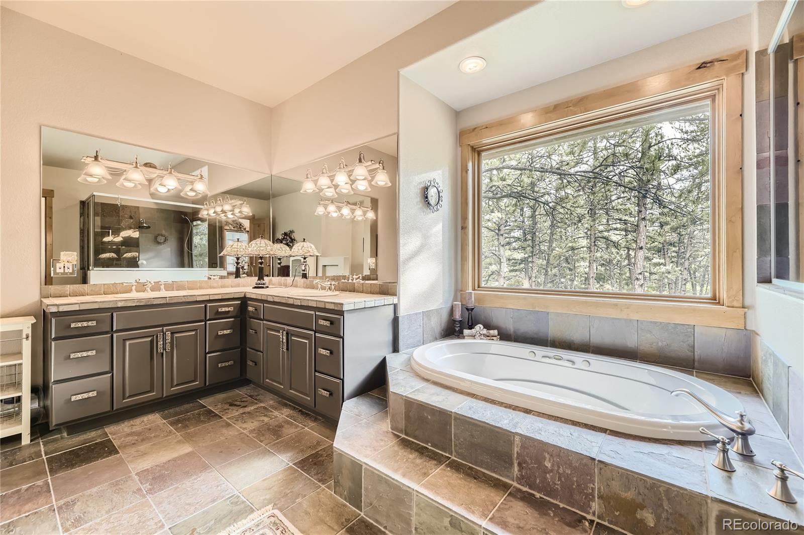 MLS Image #20 for 9340  comanche pines drive,franktown, Colorado