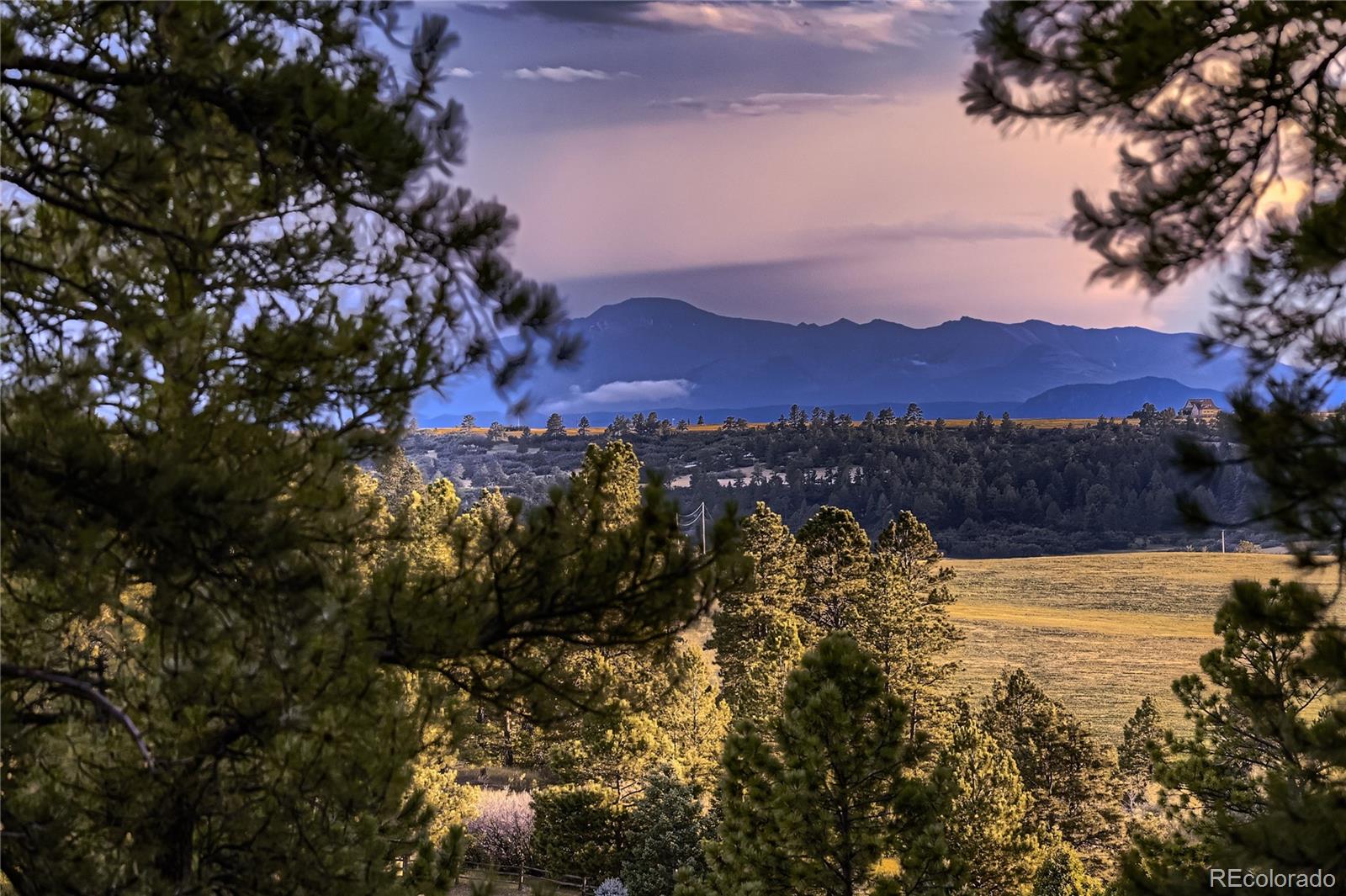 MLS Image #43 for 9340  comanche pines drive,franktown, Colorado