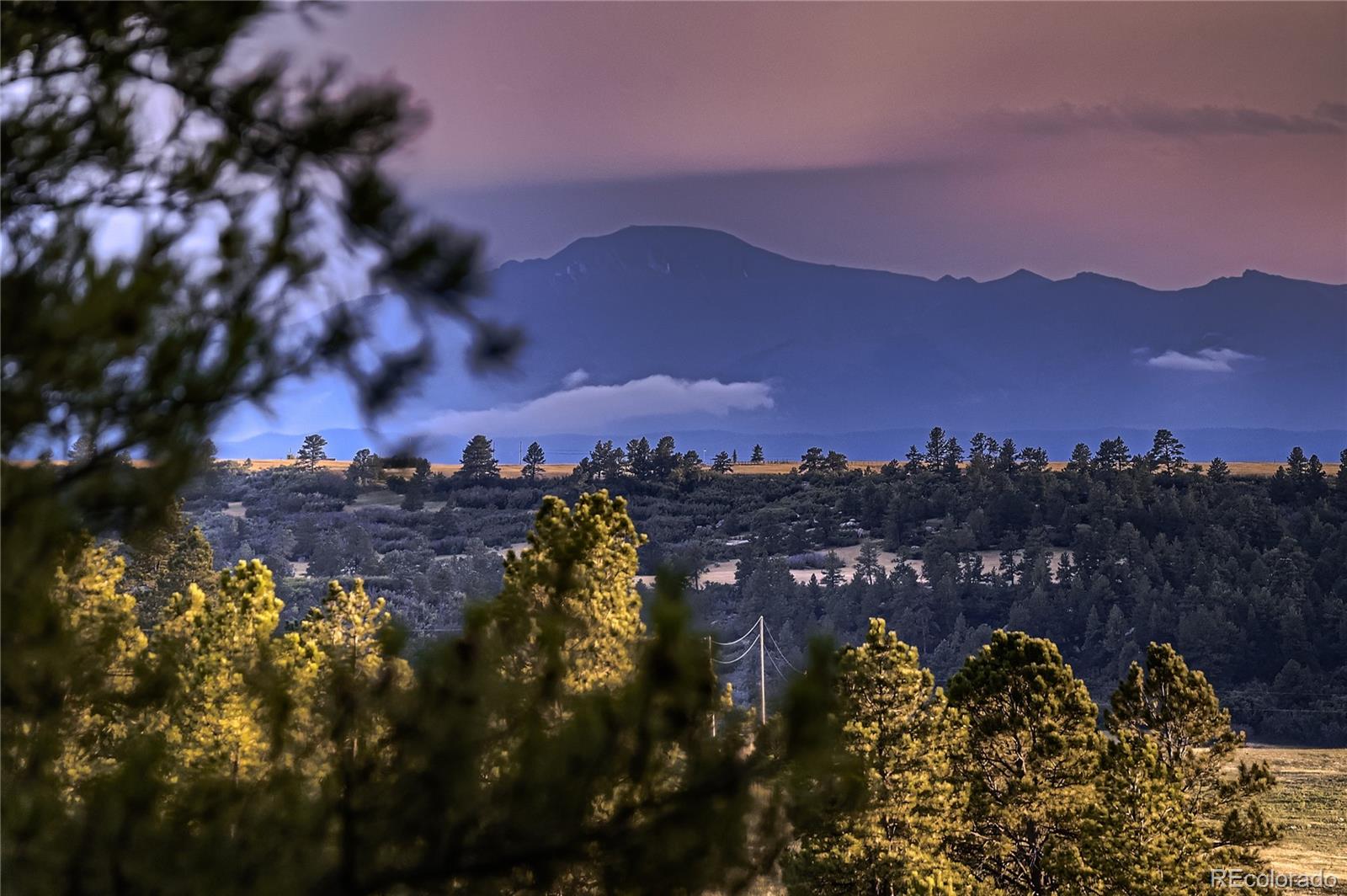 MLS Image #44 for 9340  comanche pines drive,franktown, Colorado