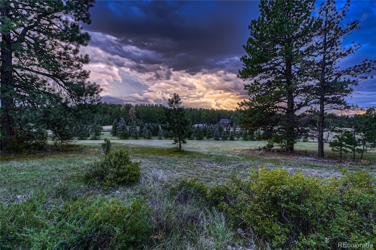 MLS Image #45 for 9340  comanche pines drive,franktown, Colorado