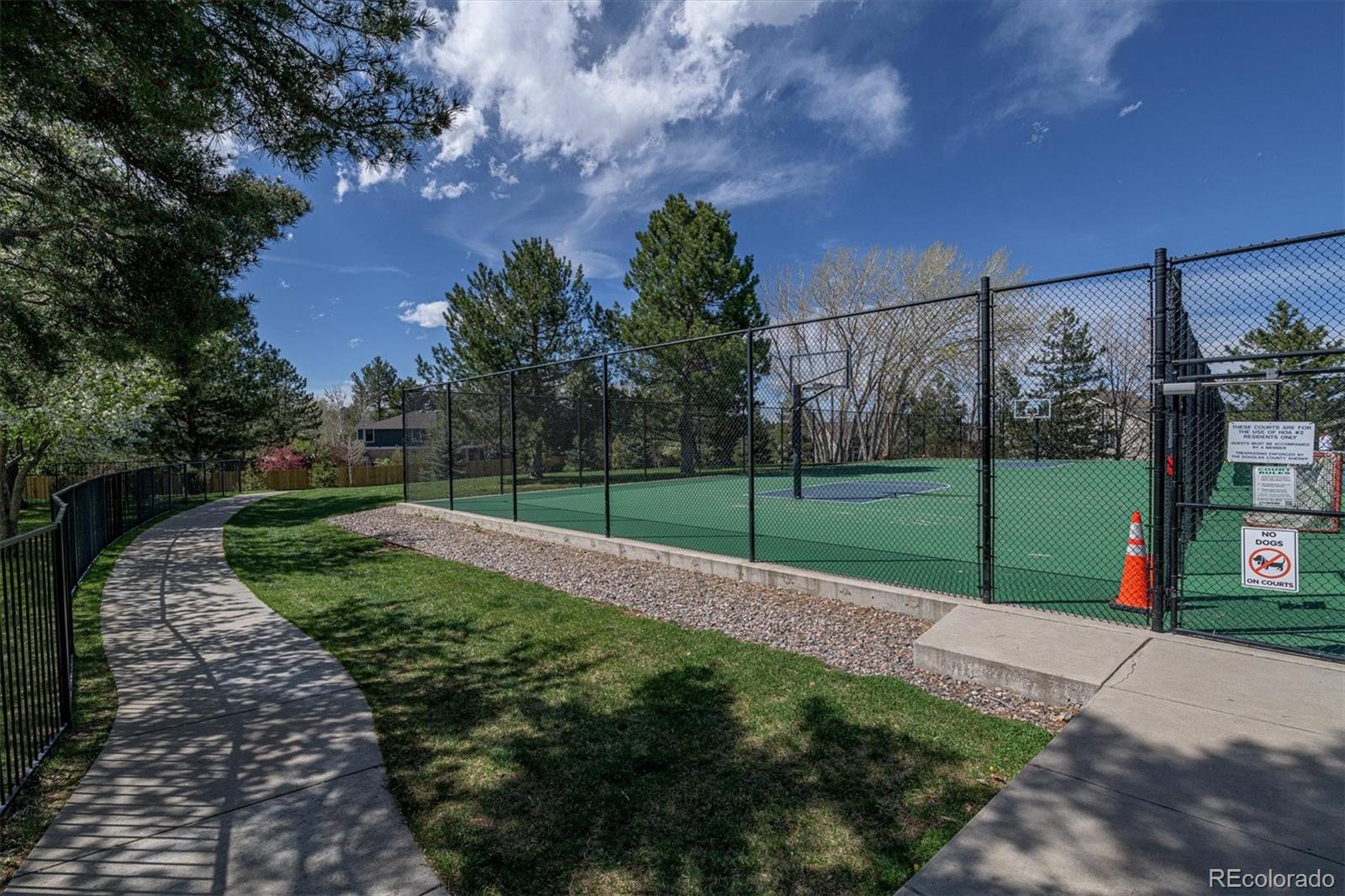 MLS Image #26 for 7398  norfolk place,castle pines, Colorado