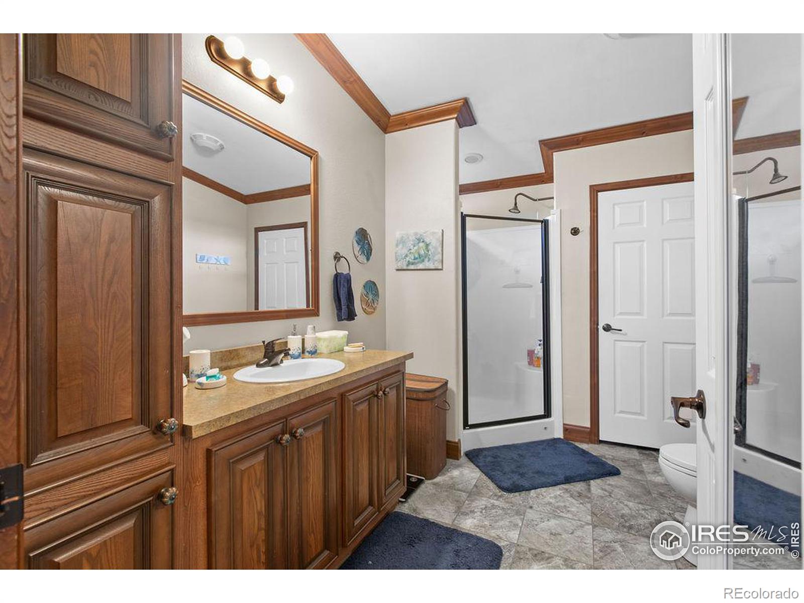 MLS Image #20 for 5618 n harrison avenue,loveland, Colorado