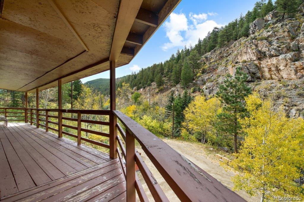 MLS Image #12 for 5721  chicago creek road,idaho springs, Colorado