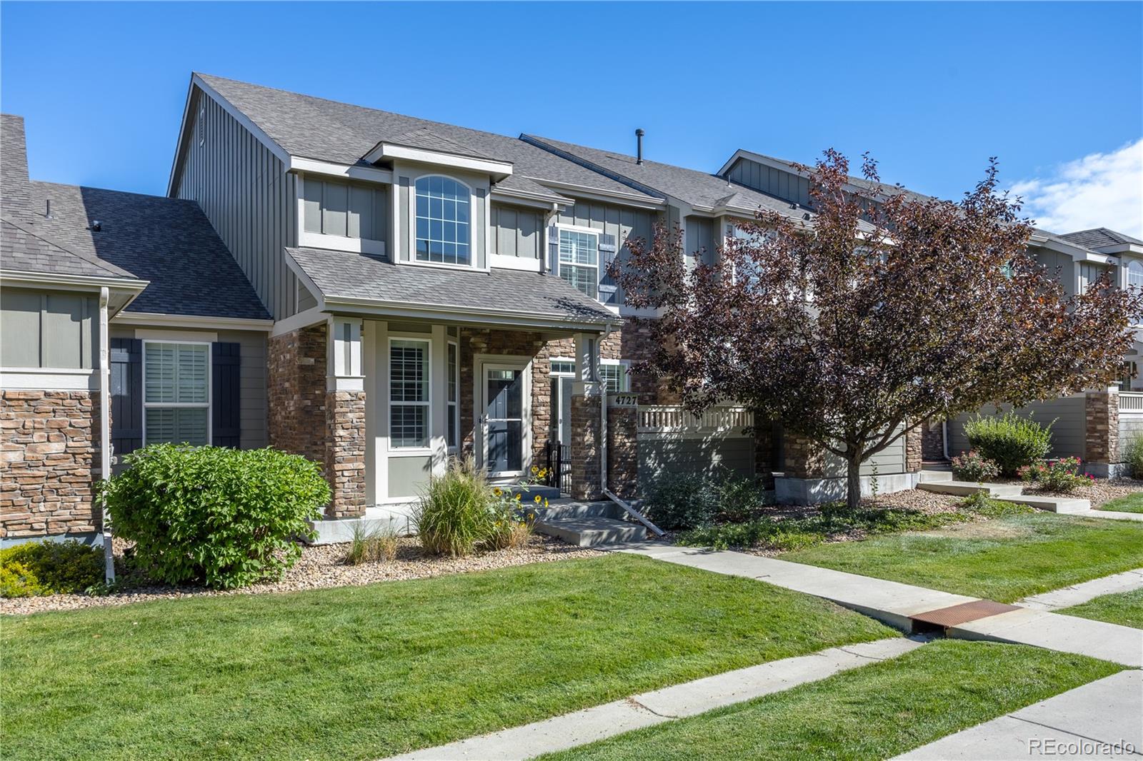 CMA Image for 4727  Raven Run,Broomfield, Colorado