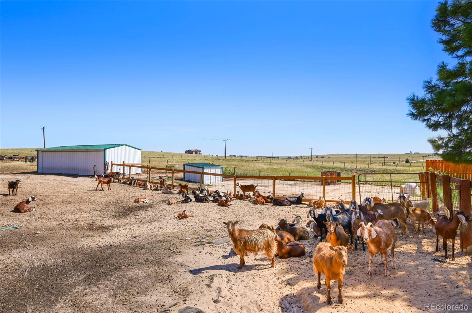 MLS Image #26 for 5430  murr road,peyton, Colorado