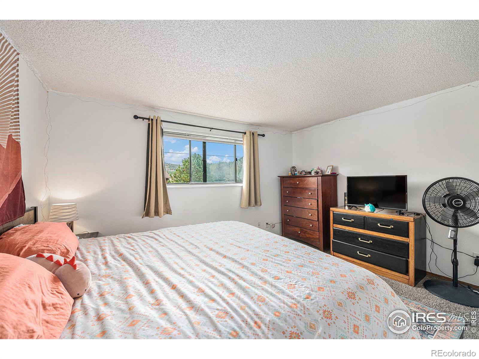 MLS Image #12 for 1730  raven avenue,estes park, Colorado