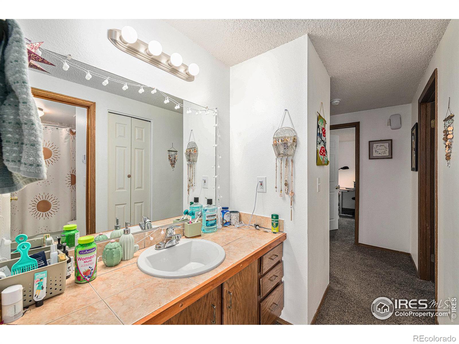 MLS Image #18 for 1730  raven avenue,estes park, Colorado