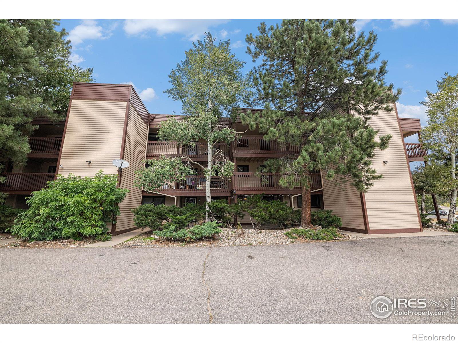 MLS Image #19 for 1730  raven avenue,estes park, Colorado