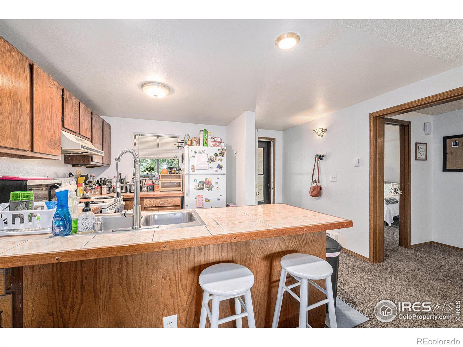 MLS Image #8 for 1730  raven avenue,estes park, Colorado