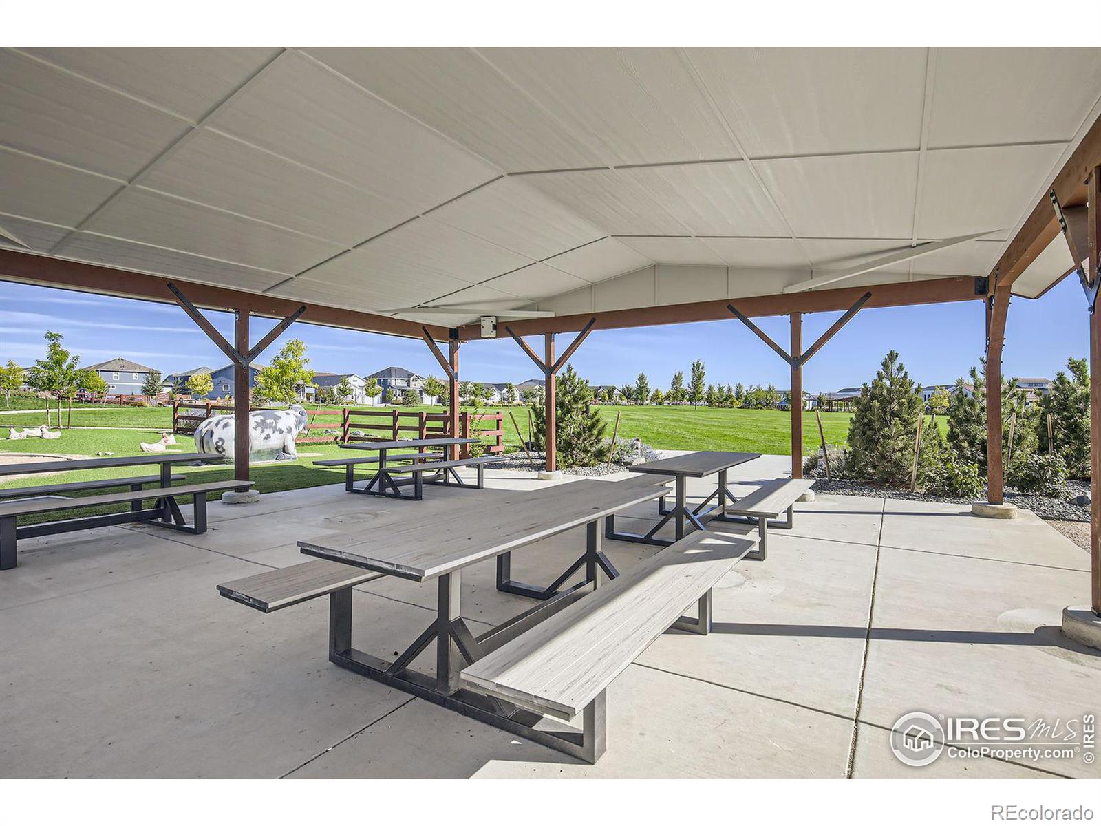 MLS Image #24 for 2060  autumn moon drive,windsor, Colorado