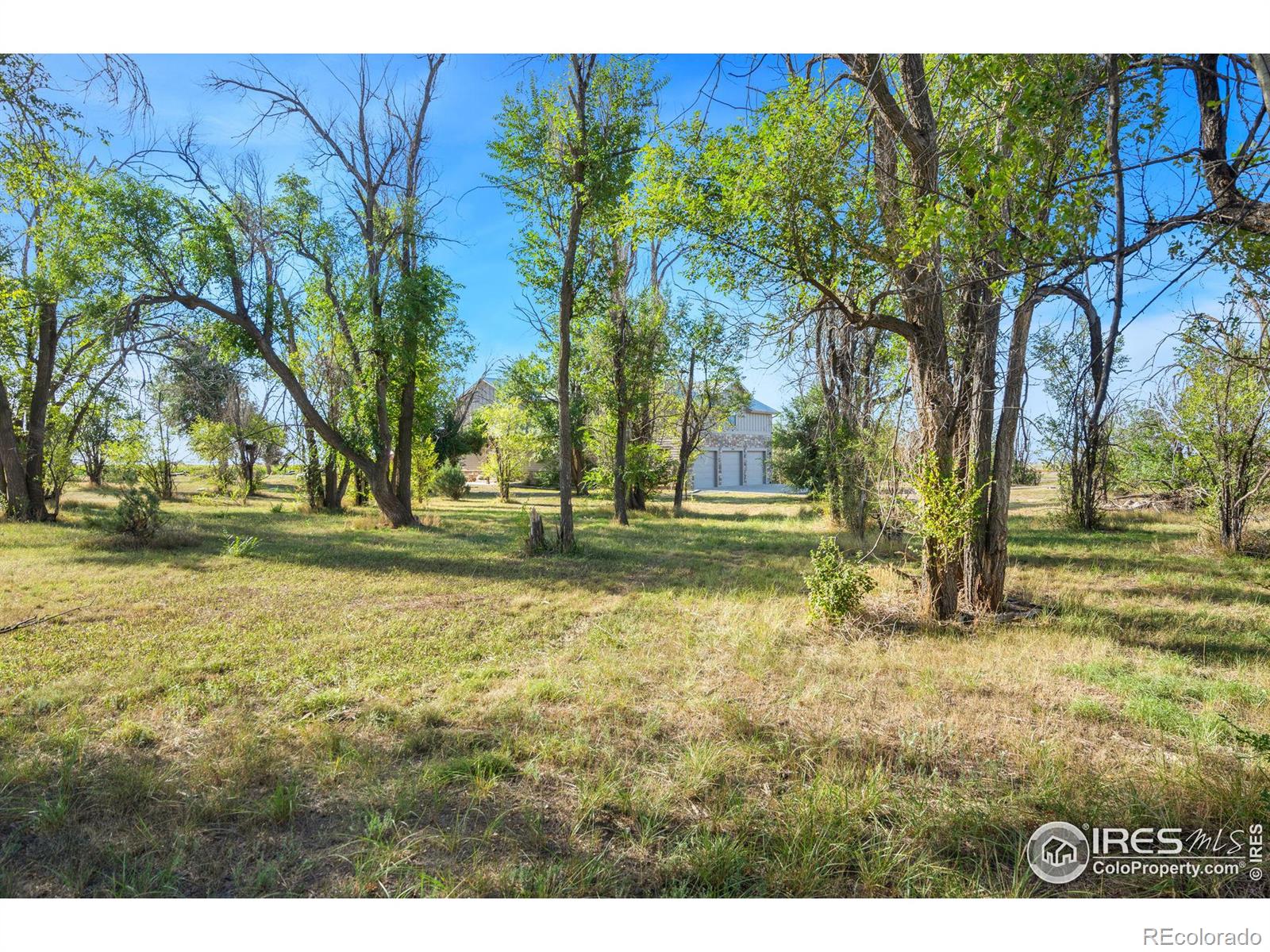 MLS Image #27 for 13600 n county road 17 ,wellington, Colorado