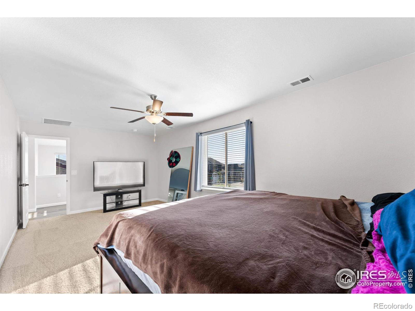 MLS Image #10 for 14808  jersey drive,mead, Colorado