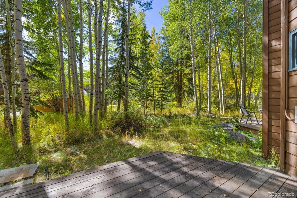 MLS Image #8 for 157  alpine drive,frisco, Colorado