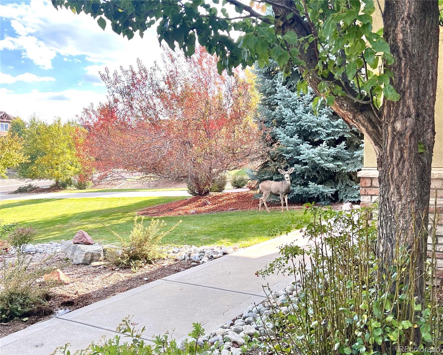 MLS Image #32 for 5603  twilight way,parker, Colorado