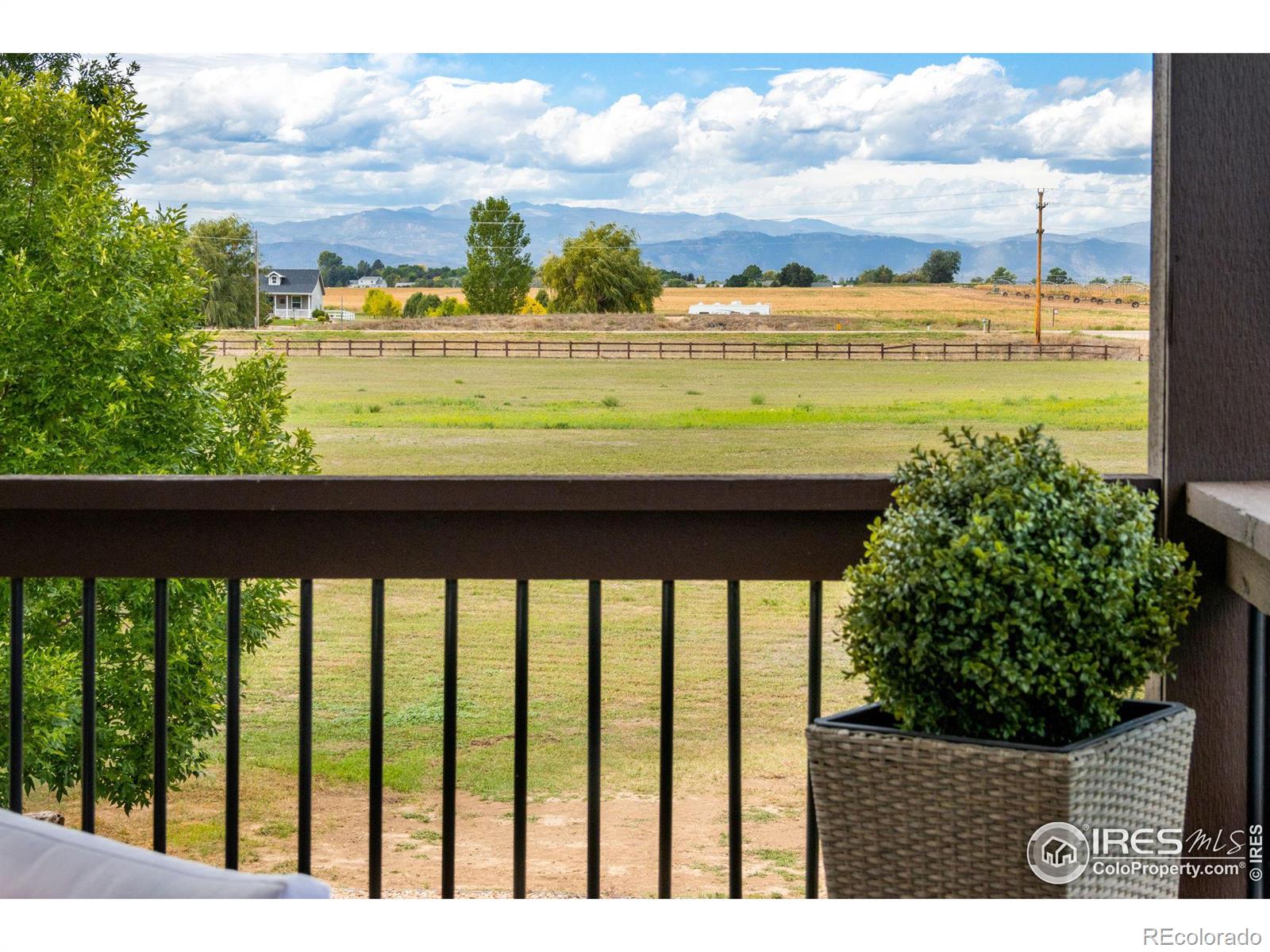 MLS Image #13 for 37046  golden eagle court,severance, Colorado