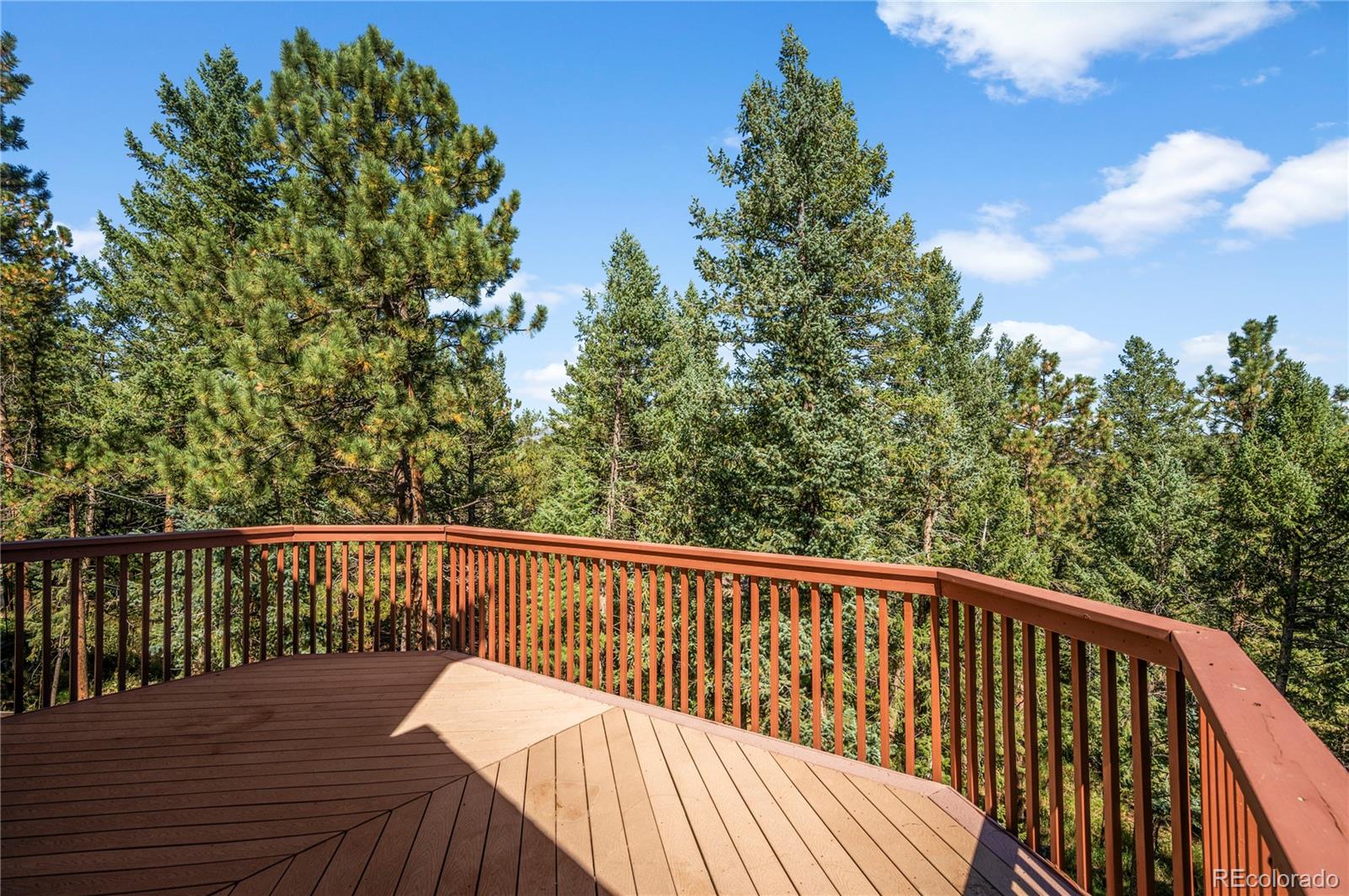 MLS Image #27 for 30243  pine crest drive,evergreen, Colorado