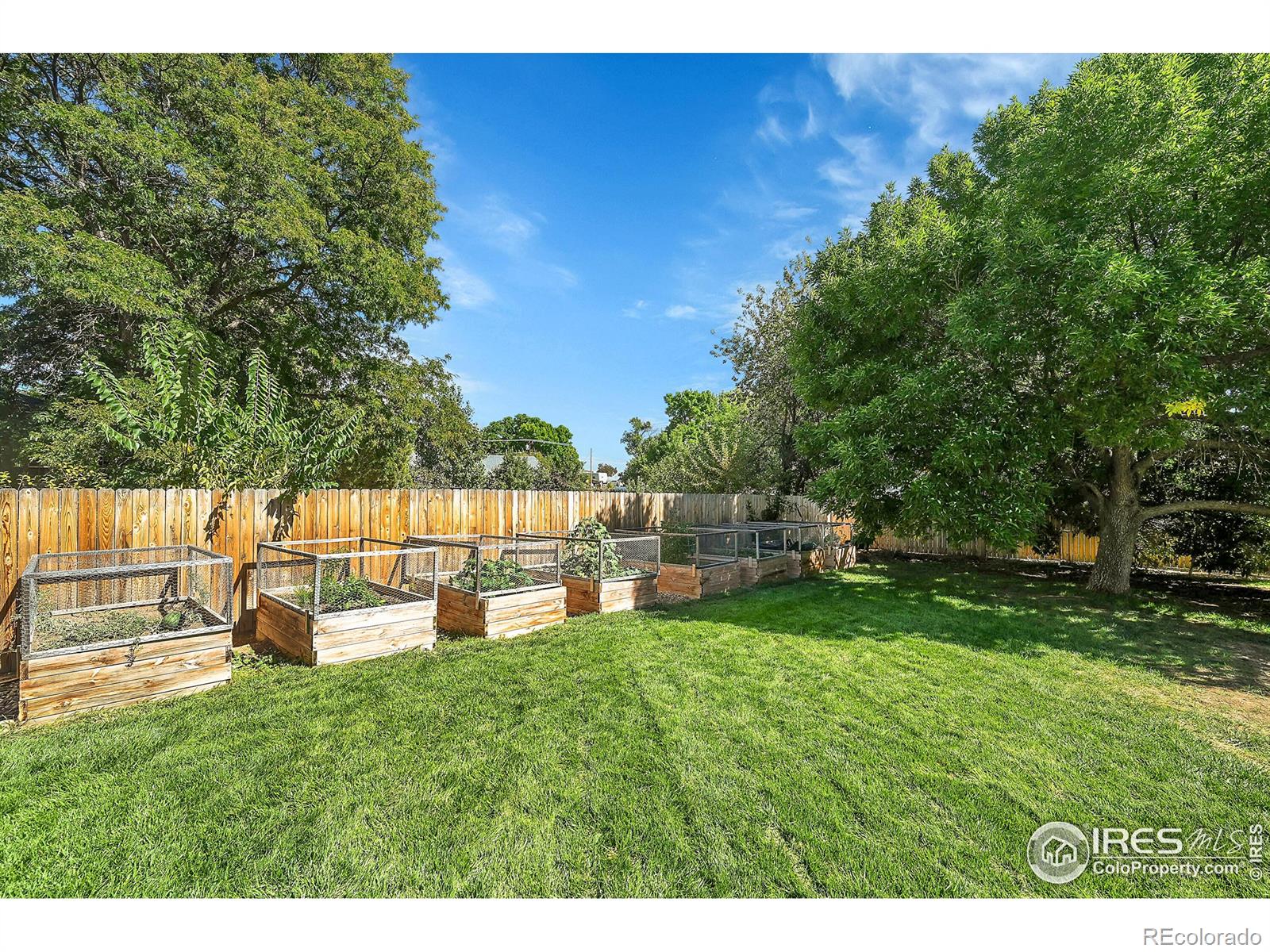 MLS Image #29 for 5620  janna drive,loveland, Colorado