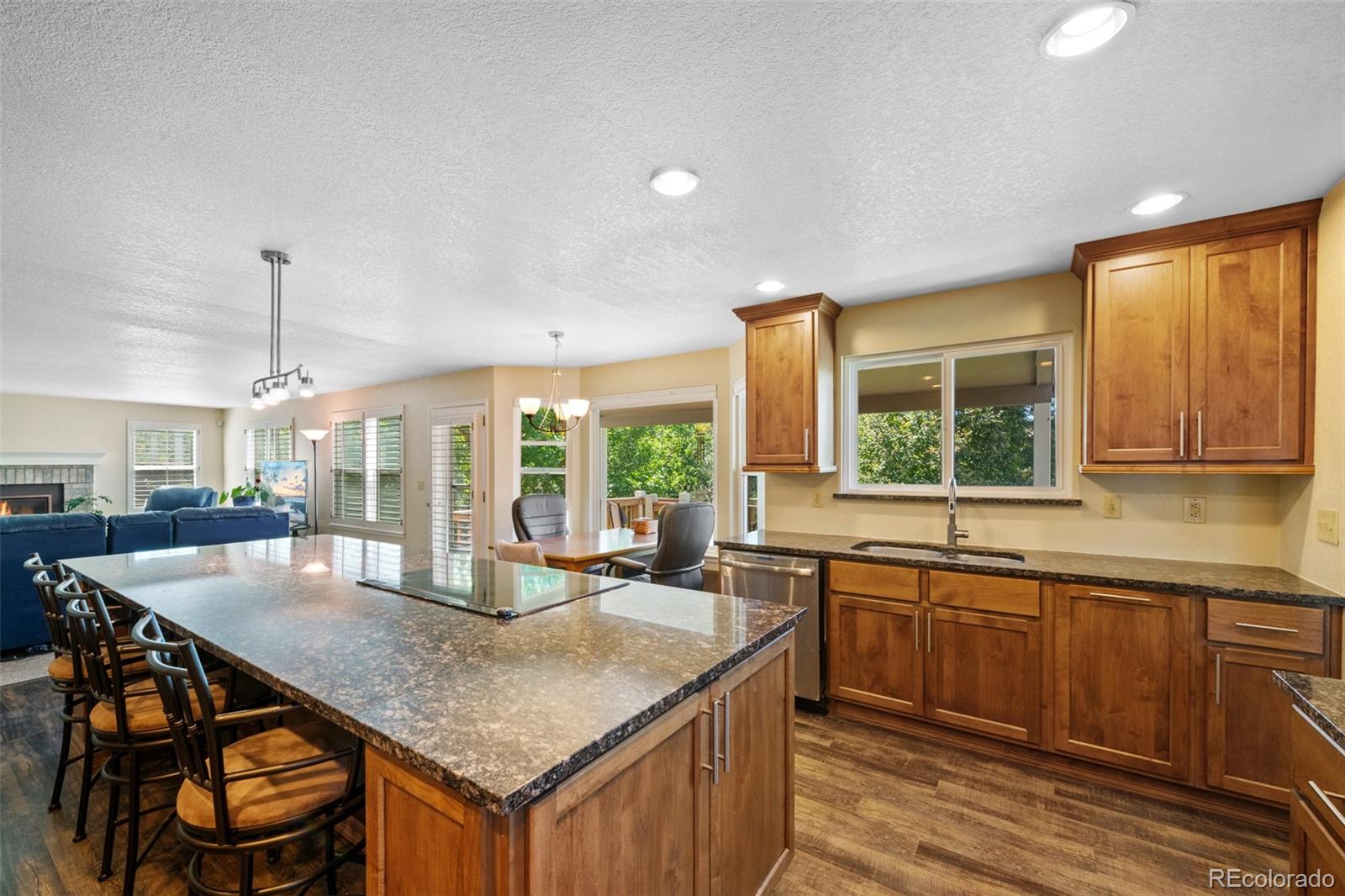 MLS Image #11 for 8935  green meadows court,highlands ranch, Colorado