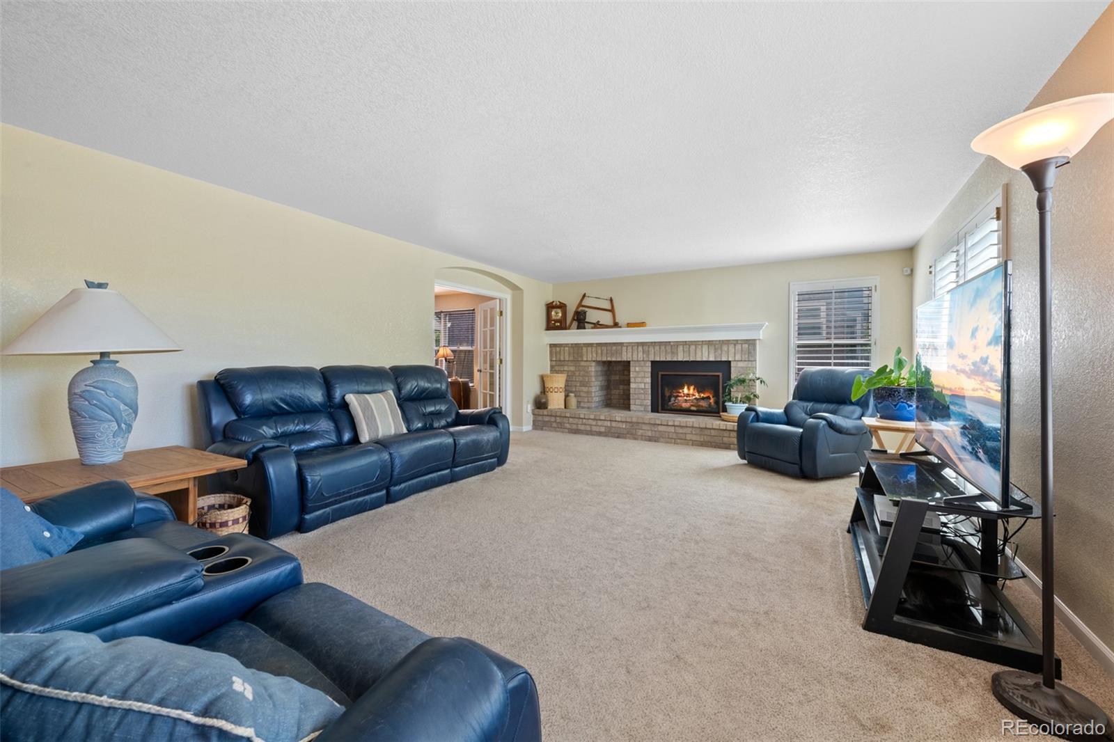 MLS Image #14 for 8935  green meadows court,highlands ranch, Colorado