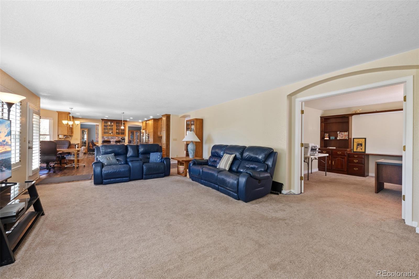 MLS Image #17 for 8935  green meadows court,highlands ranch, Colorado