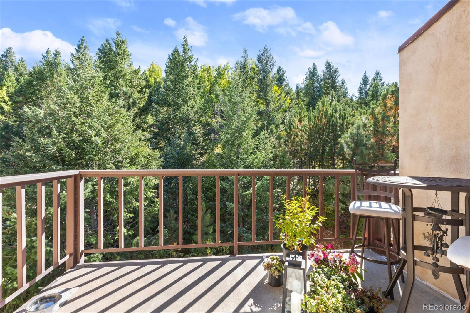 MLS Image #20 for 31270  john wallace road,evergreen, Colorado