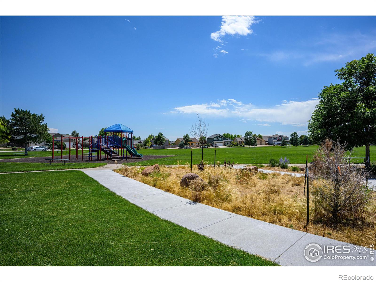 MLS Image #39 for 713  mt evans avenue,severance, Colorado