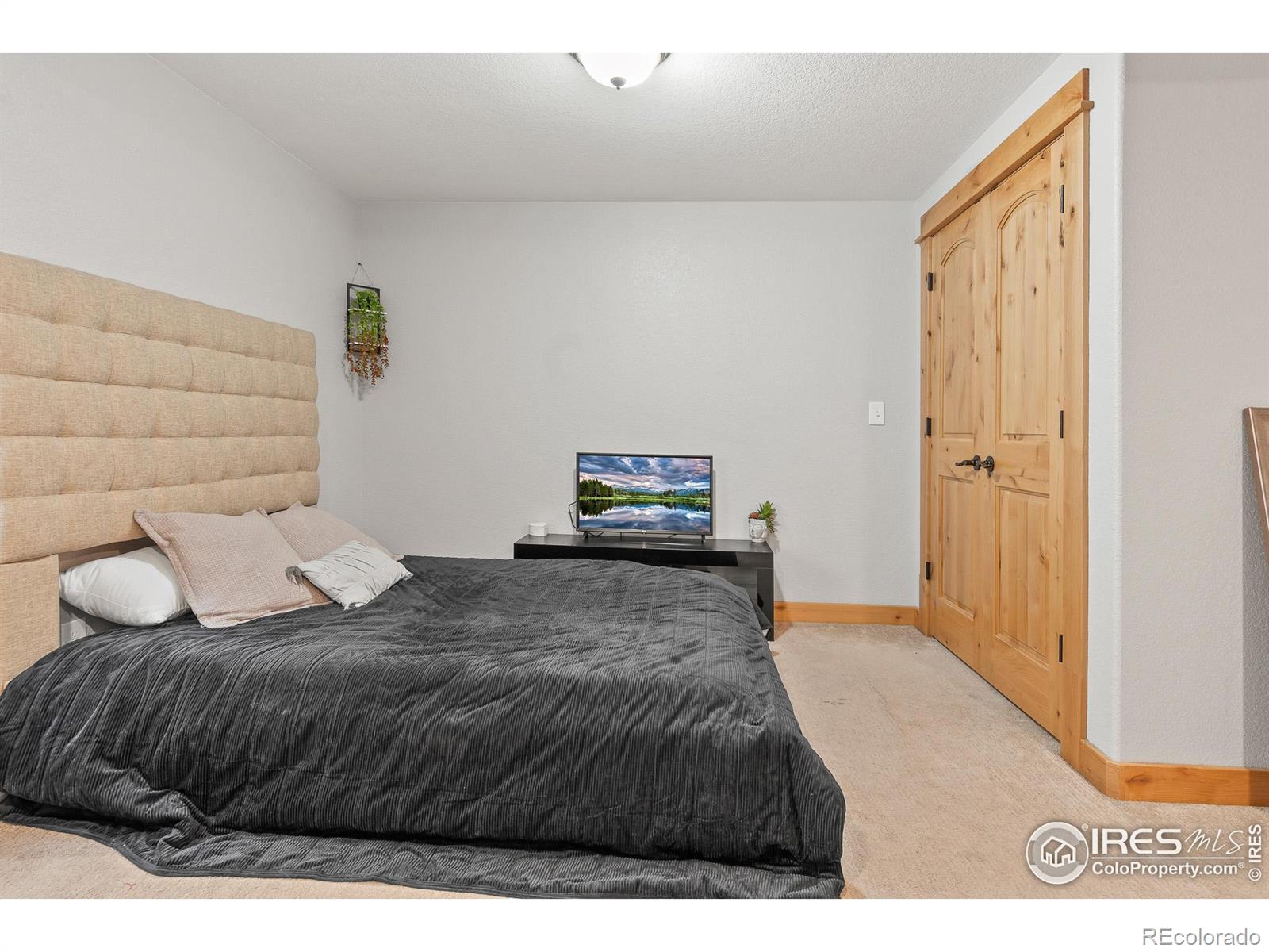 MLS Image #16 for 206 s marjorie avenue,milliken, Colorado