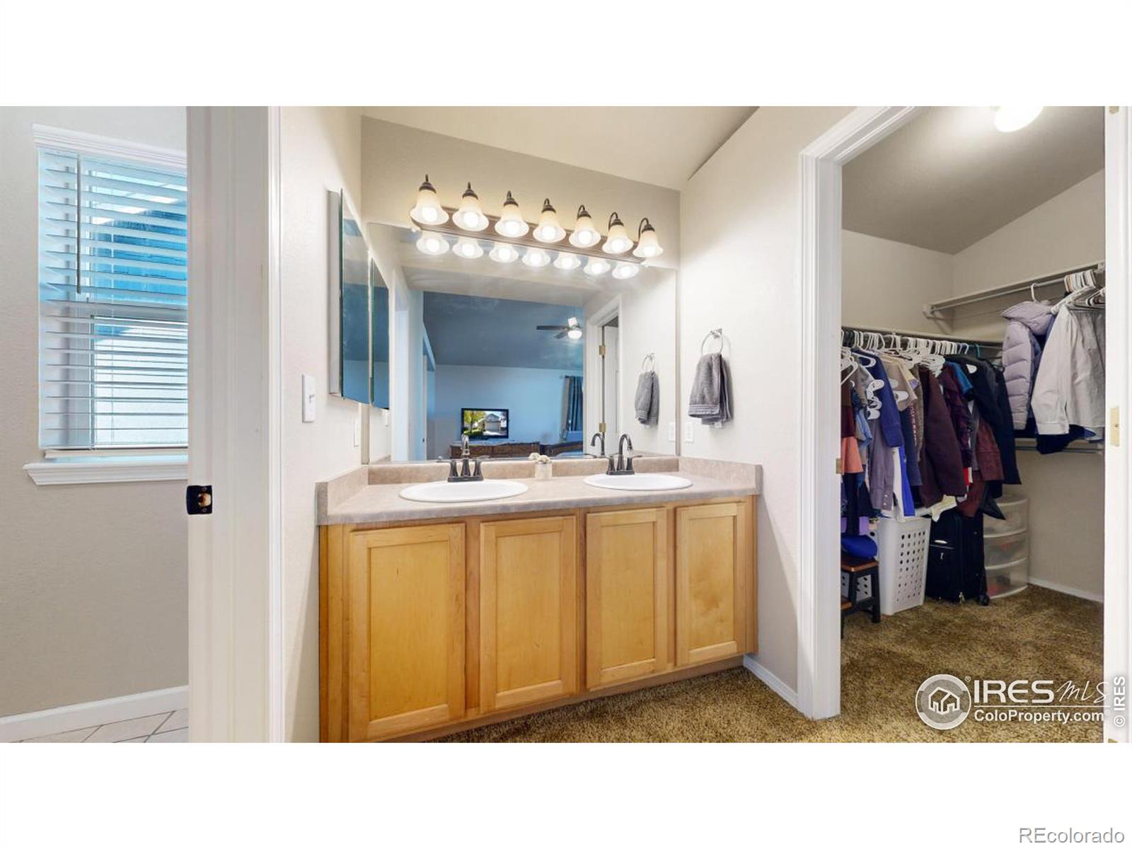 MLS Image #19 for 487  mesa drive,loveland, Colorado