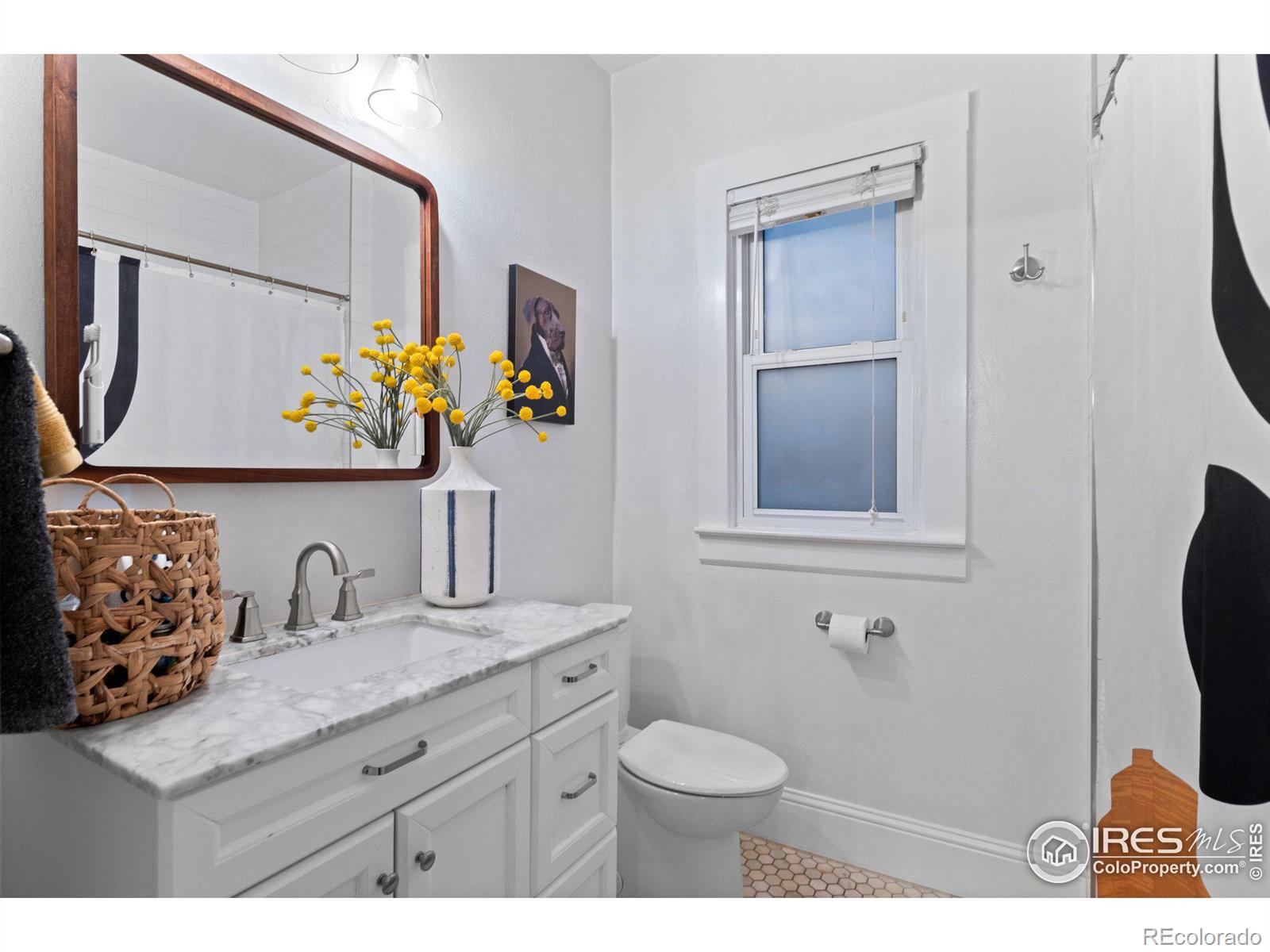 MLS Image #10 for 1069 s ogden street,denver, Colorado