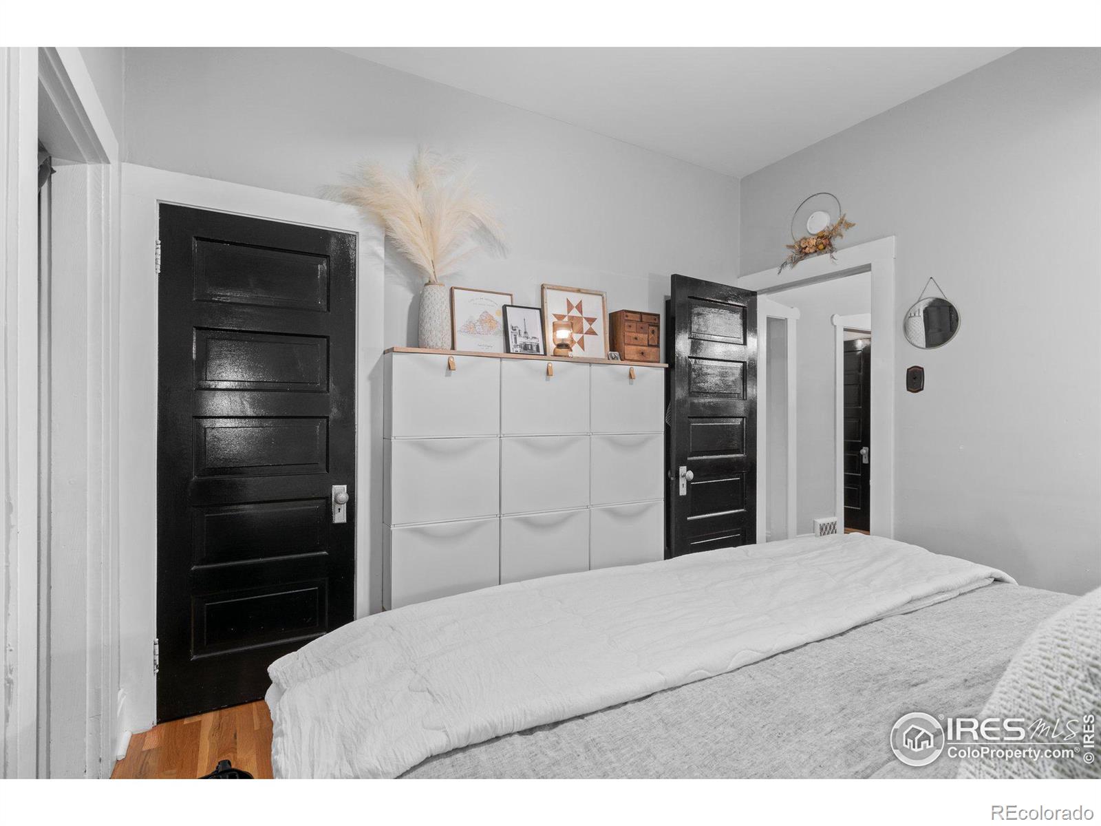 MLS Image #9 for 1069 s ogden street,denver, Colorado