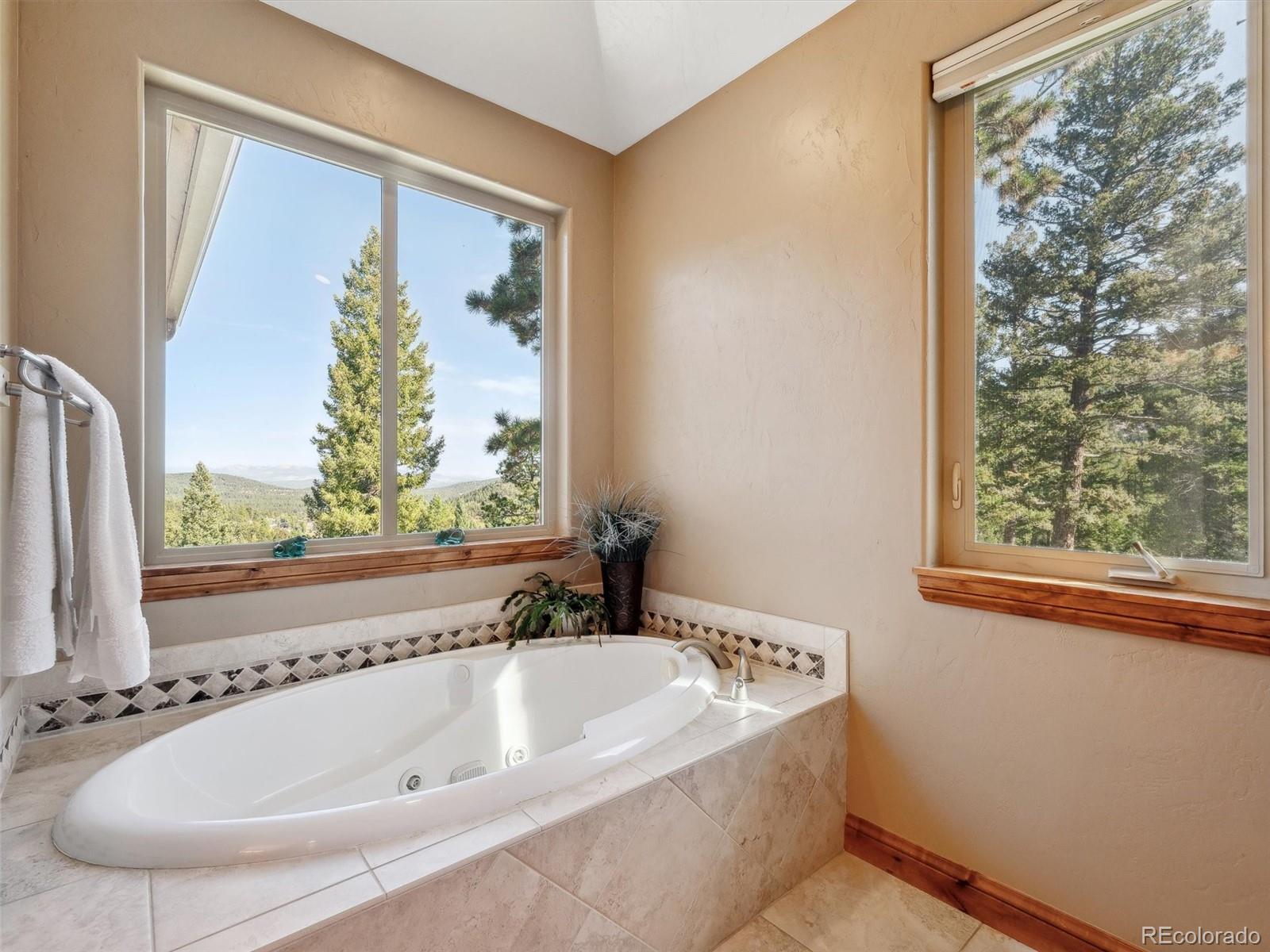 MLS Image #18 for 26886  evergreen springs road,evergreen, Colorado