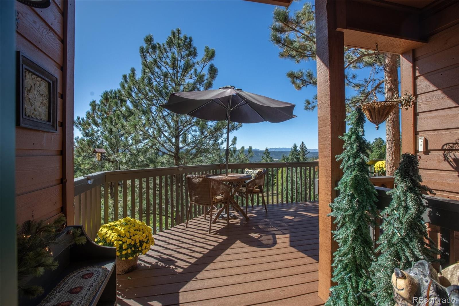 MLS Image #49 for 1261  forest edge road,woodland park, Colorado