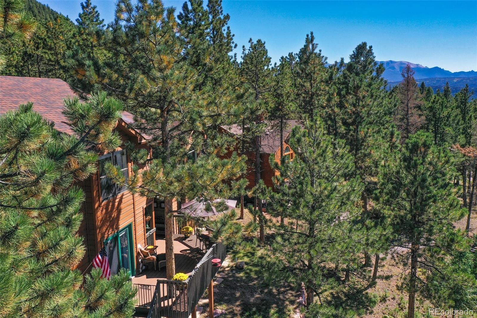 MLS Image #6 for 1261  forest edge road,woodland park, Colorado