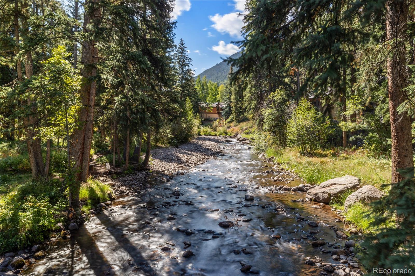 MLS Image #33 for 4770  bighorn road,vail, Colorado