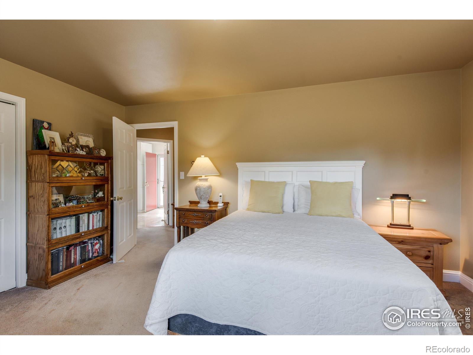 MLS Image #16 for 121  white house drive,lyons, Colorado