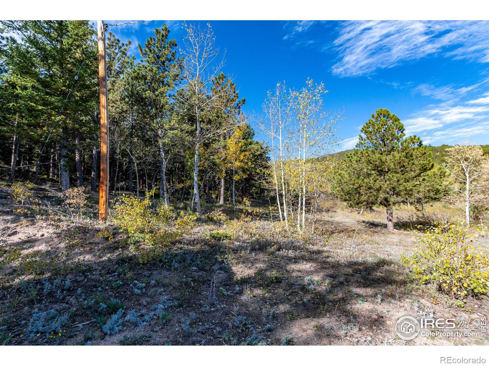 MLS Image #6 for 121  white house drive,lyons, Colorado