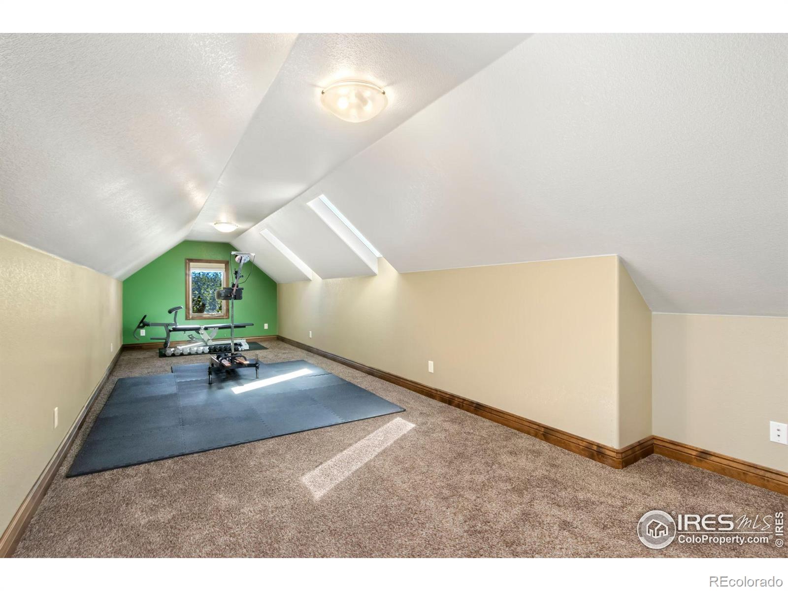 MLS Image #26 for 1024  belvedere court,fort collins, Colorado