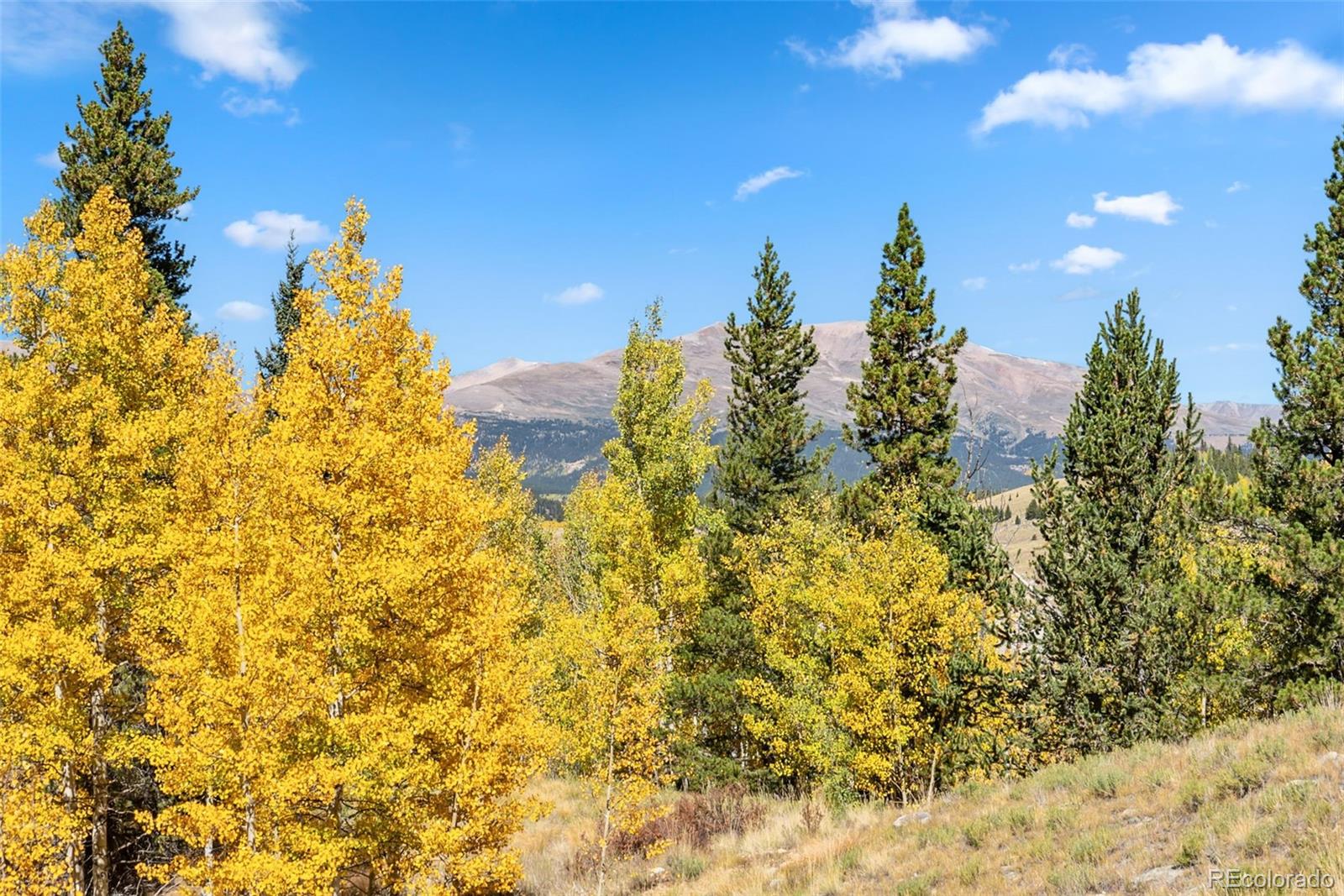 MLS Image #27 for 1954  platte drive,fairplay, Colorado