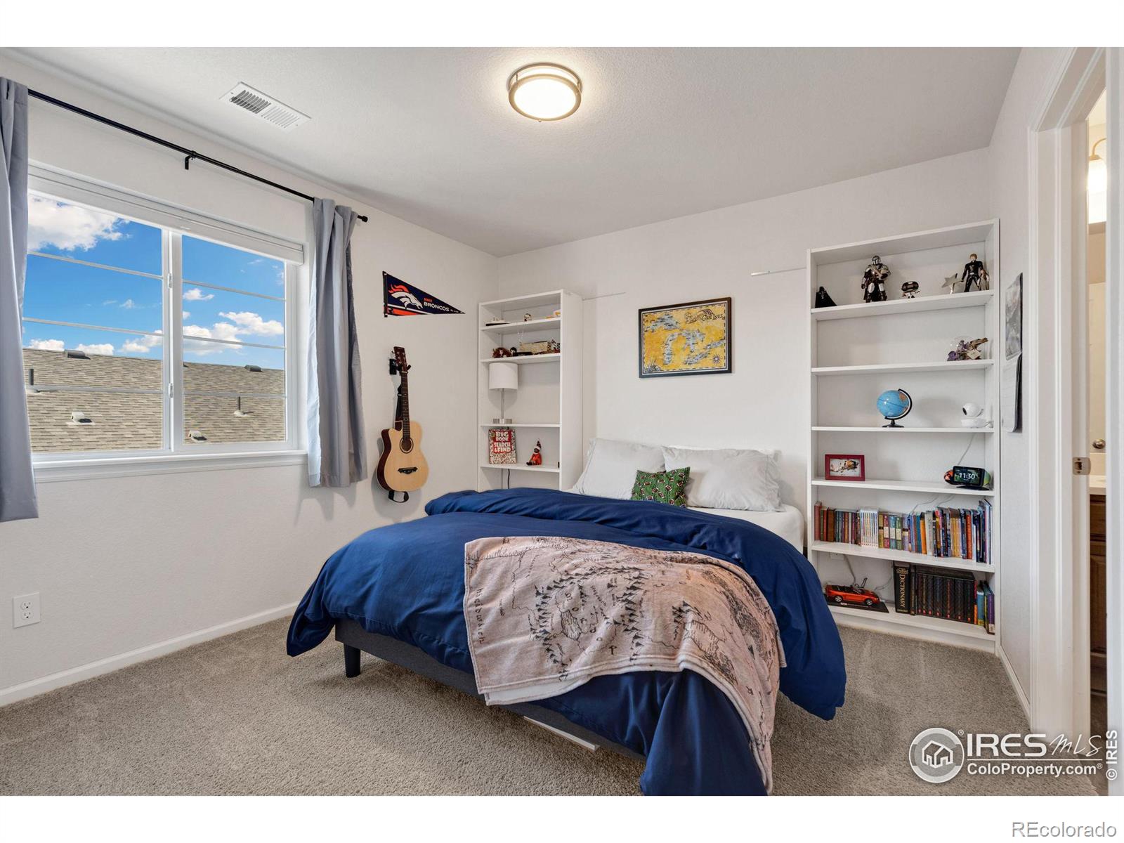 MLS Image #24 for 5604  congressional court,windsor, Colorado