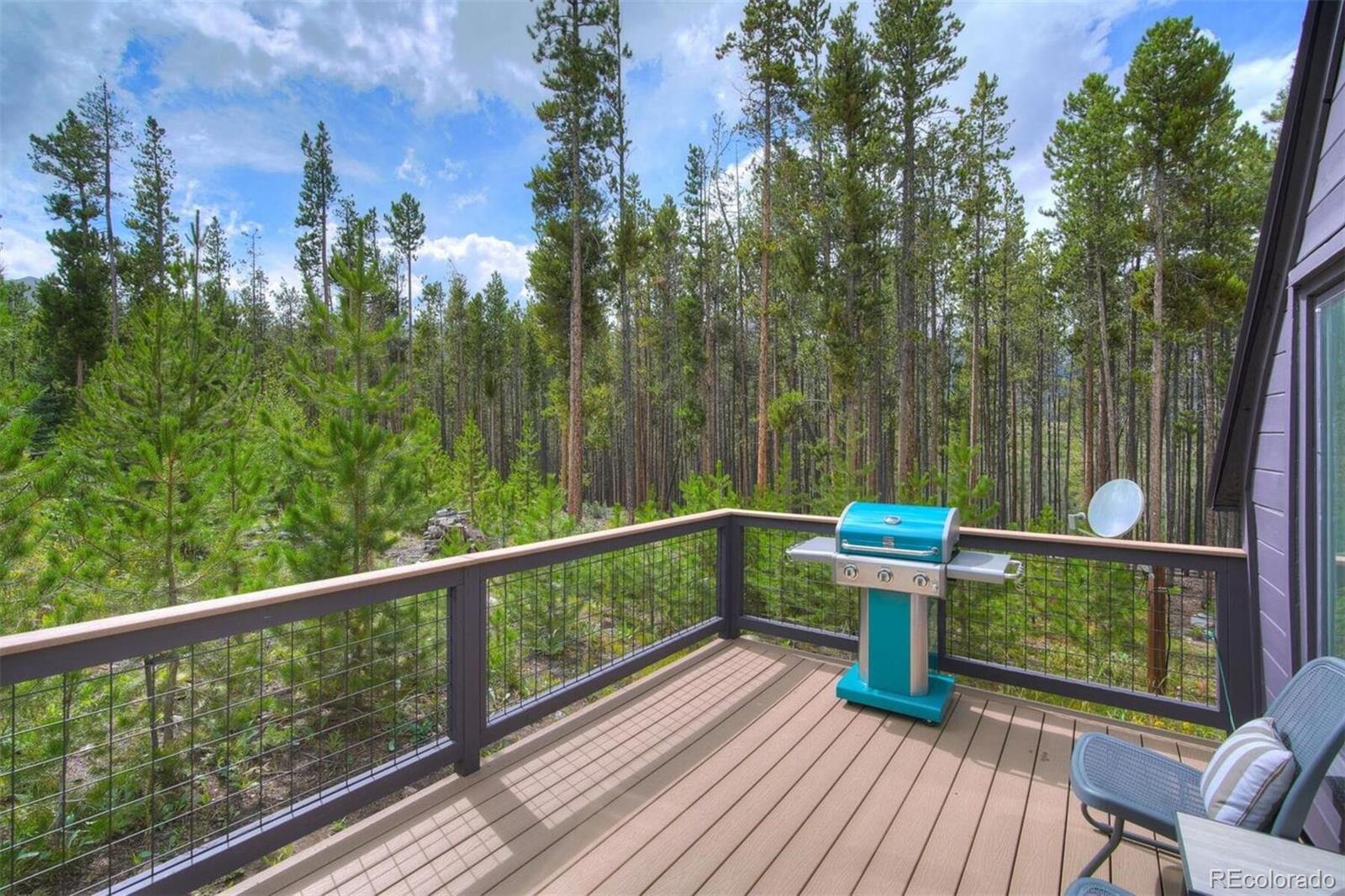 MLS Image #27 for 53  blue ridge road,breckenridge, Colorado