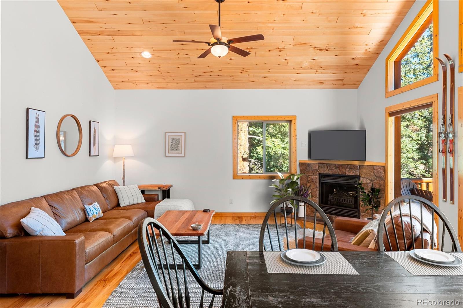 MLS Image #10 for 1205  mountain view drive,fairplay, Colorado