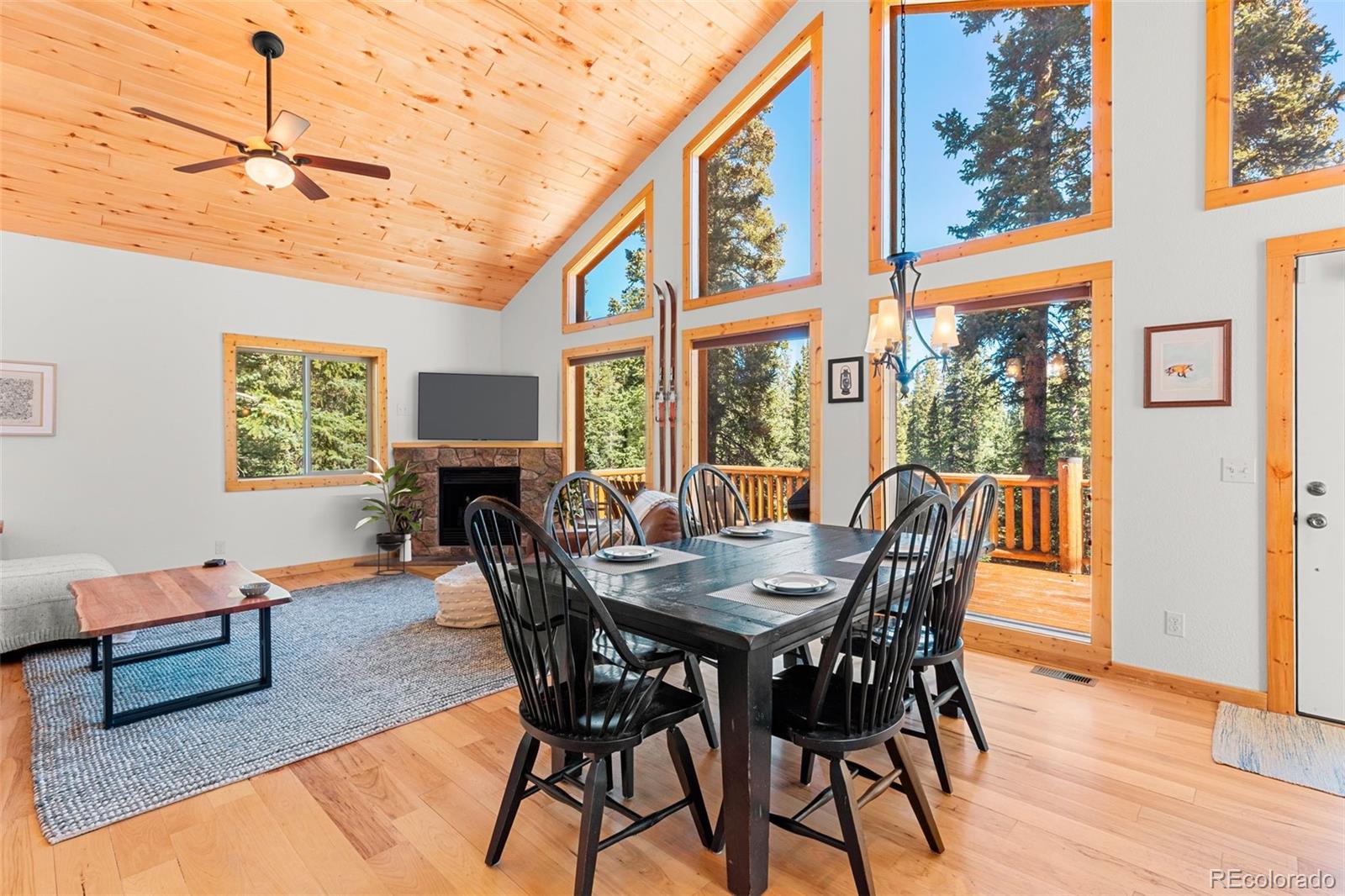 MLS Image #11 for 1205  mountain view drive,fairplay, Colorado